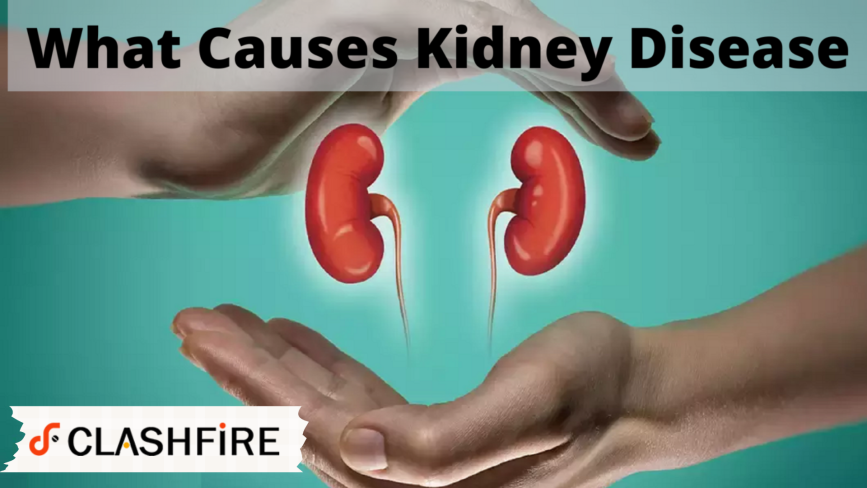 What Causes Kidney Disease?