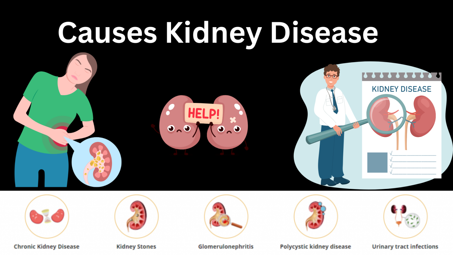 how-many-types-of-kidney-disease-and-causes-stages