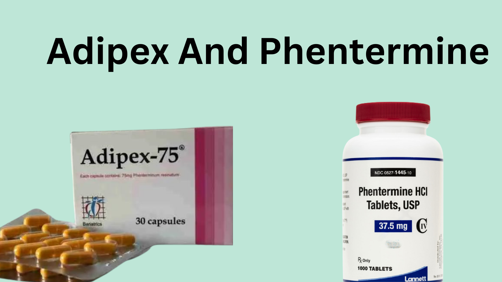 Adipex And Phentermine: How are they Different? 16